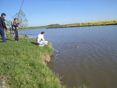 Solacolu - 01.05.2013